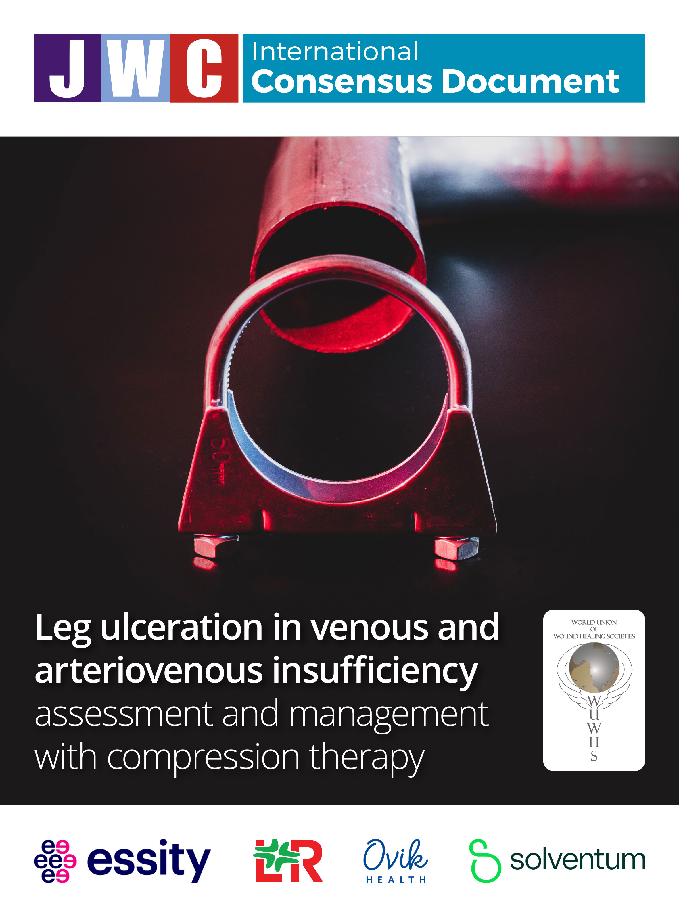 Leg ulceration in venous and arteriovenous insuffeciency